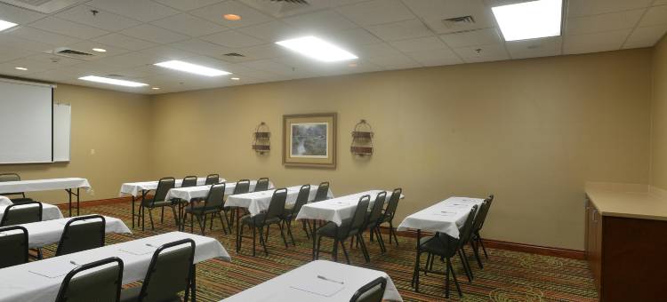 斯普林菲尔德欢朋套房酒店(Hampton Inn & Suites Springfield)图片