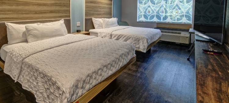 罗诺克霍林斯希尔顿Tru酒店(Tru by Hilton Roanoke Hollins)图片