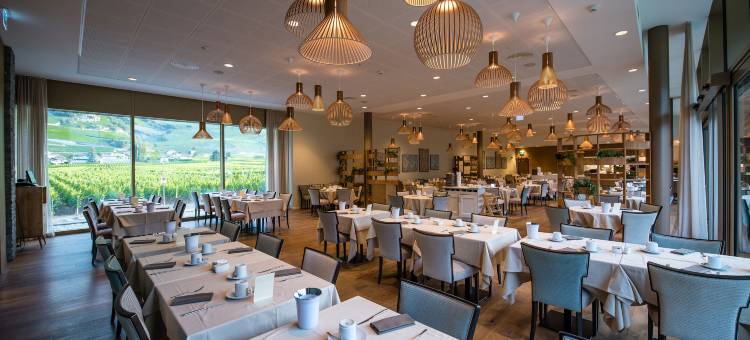 萨永贝恩斯酒店(Hotel Bains de Saillon)图片