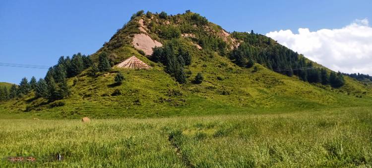 民乐旭景大酒店图片