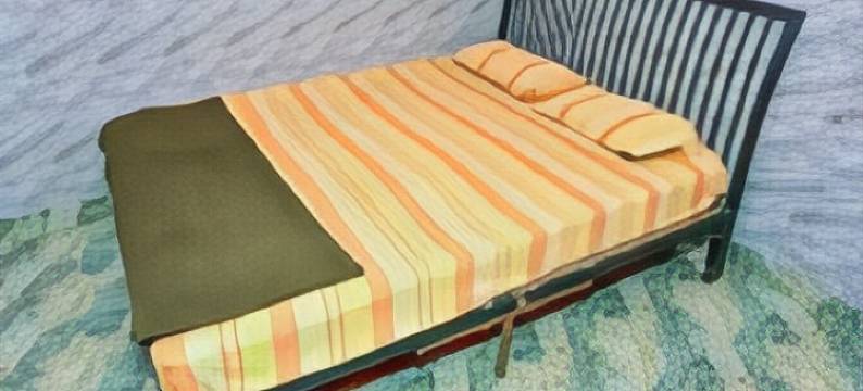 Monica Guest House- Goa (Double Occupancy)图片