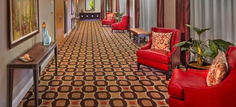 杰克逊维尔E 295海湾牧场假日酒店(Holiday Inn Jacksonville E 295 Baymeadows)图片