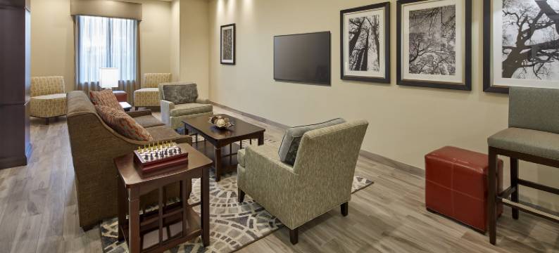 洲际旗下Staybridge Suites酒店阿纳海姆乐园(Staybridge Suites ANAHEIM AT THE PARK by IHG)图片