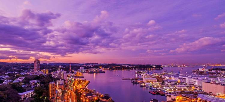 横须贺美居酒店(Mercure Yokosuka)图片