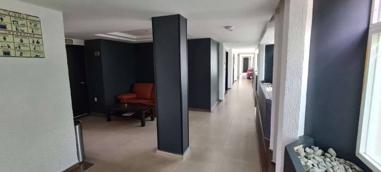 库埃纳瓦卡博尔达酒店(Hotel Borda Cuernavaca)图片