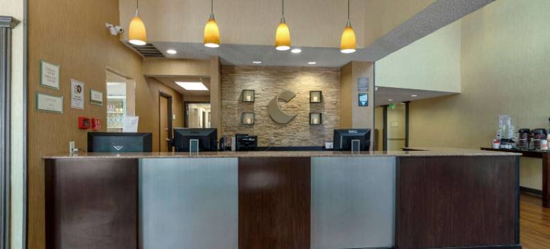 达拉斯沃思堡国际机场舒适套房酒店(Comfort Suites DFW Airport)图片