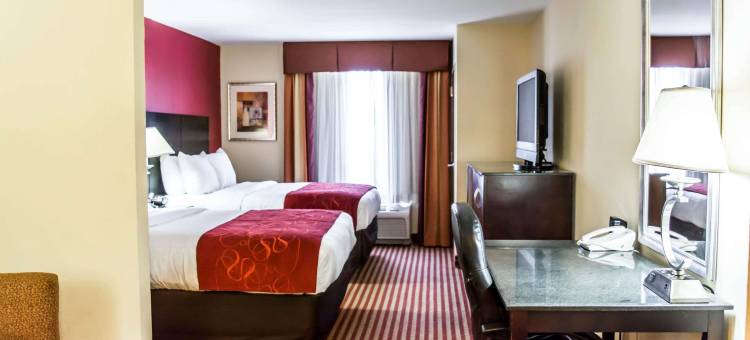 舒适套房酒店-棕榈湾墨尔本(Comfort Suites Palm Bay - Melbourne)图片