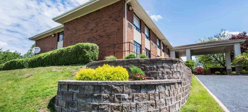 舒适酒店(Comfort Inn)图片