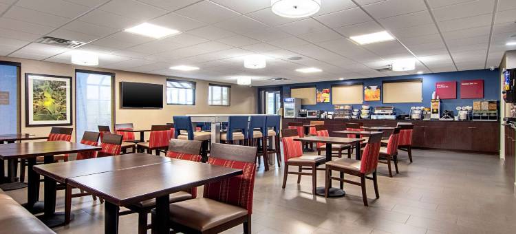 诺克斯维尔机场舒适套房酒店(Comfort Suites Knoxville Airport)图片