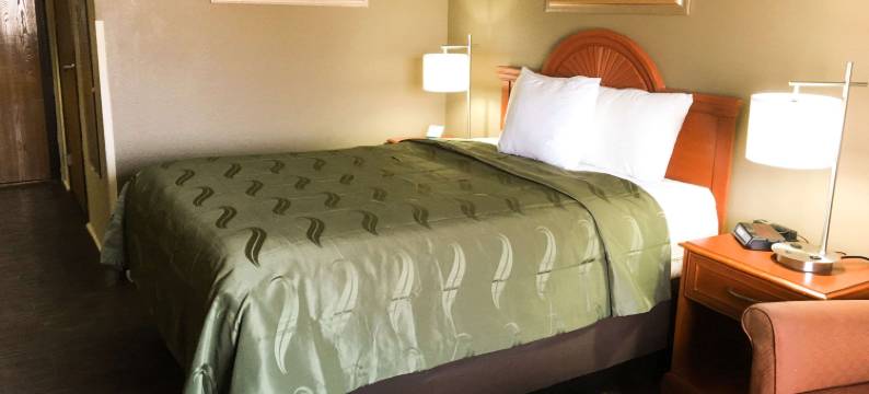 林肯 I-55 附近凯艺套房酒店(Quality Inn & Suites Lincoln Near I-55)图片