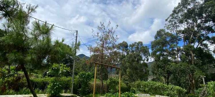 桑格加维芝威得木屋(Saung Gawir Ciwidey)图片