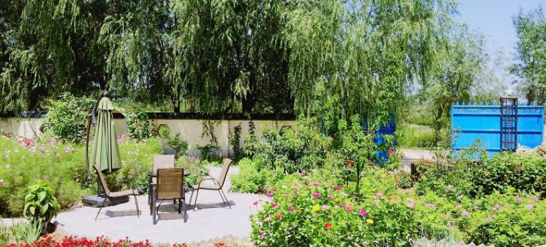 洋土豆院子客栈(滨河大道2号分店)图片