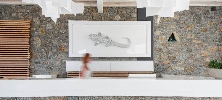 比尔&库 米科诺斯(Bill & Coo Mykonos -The Leading Hotels of the World)图片