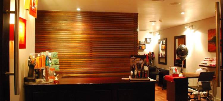 南太阳OR塔波国际机场酒店(Southern Sun or Tambo International Airport)图片