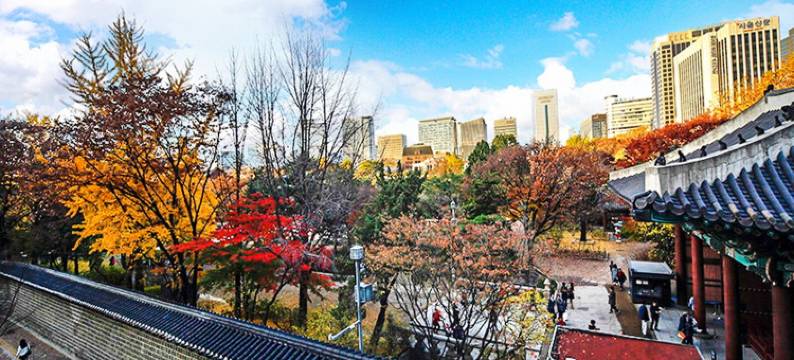 首尔市政厅24号旅舍(24 Guesthouse Seoul City Hall)图片