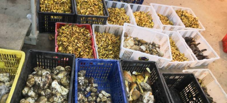拾忆民宿(览廊分店)图片