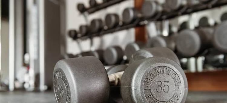 科罗拉多斯普林斯东北欢朋酒店(Hampton Inn by Hilton Colorado Springs Northeast)图片