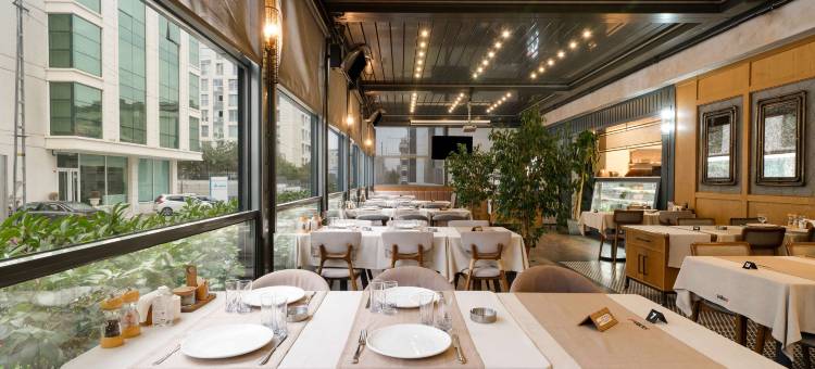 伊斯坦布尔阿塔塞丽柏酒店(Park Inn by Radisson Istanbul Atasehir)图片