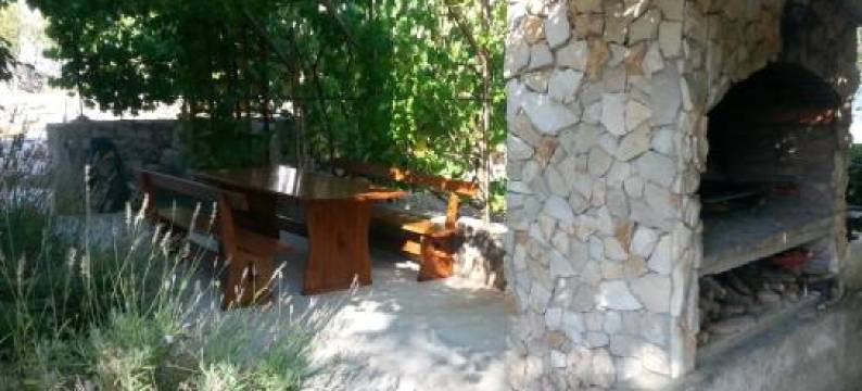 Rosa Apartments图片