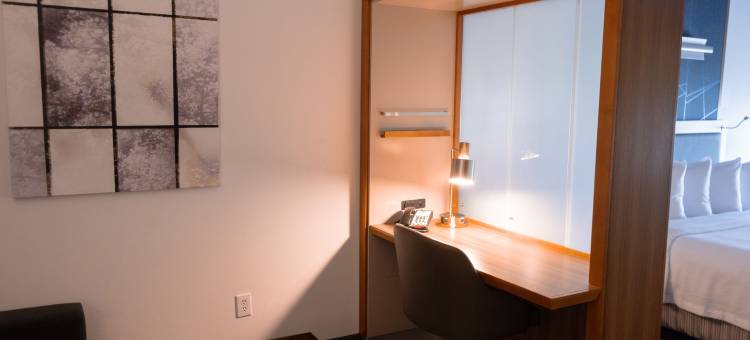 达拉斯路易斯维尔万豪SpringHill Suites 酒店(SpringHill Suites Dallas Lewisville)图片