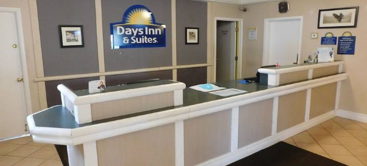 阿灵顿高地戴斯套房酒店(Days Inn & Suites by Wyndham Arlington Heights)图片