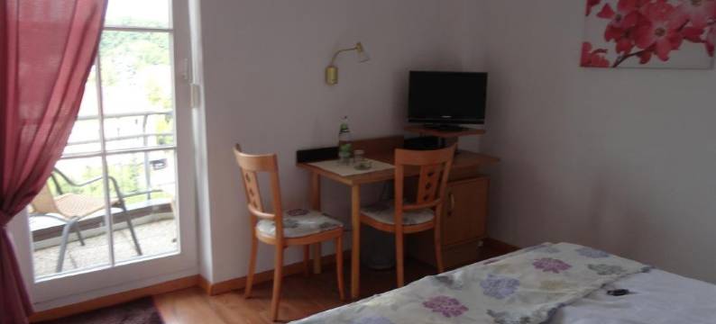 城堡酒店(Hotel am Schloss)图片