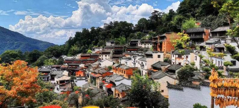 小公举的大白((oo))度假别墅(朱子大道分店)图片