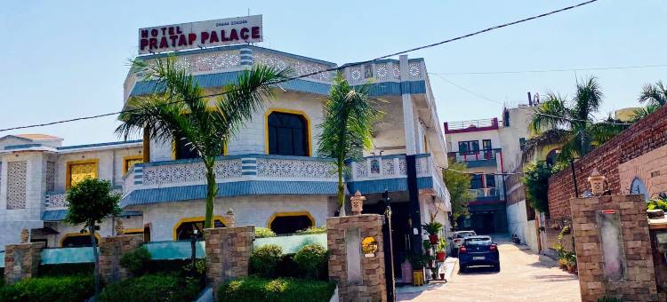 普拉塔普宫殿酒店(Hotel Pratap Palace)图片