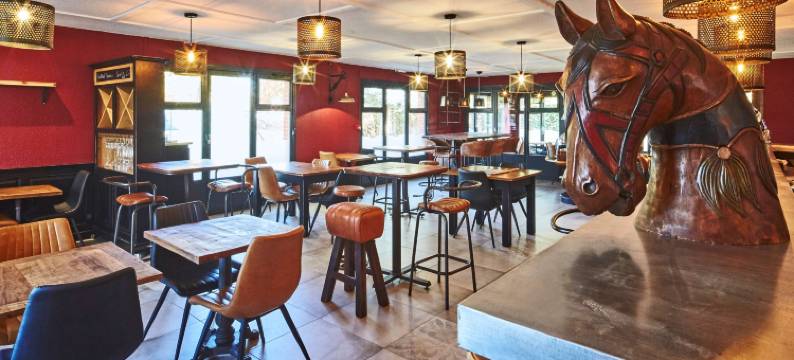 基里亚德酒店-里尔东赫姆(Kyriad Lille Est - Hem)图片