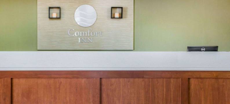 舒适酒店(Comfort Inn)图片