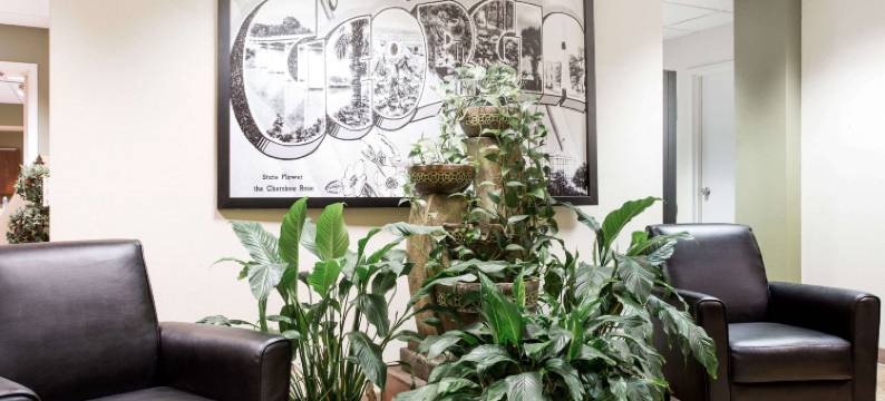 拉沃尼亚速8酒店(Super 8 by Wyndham Lavonia)图片