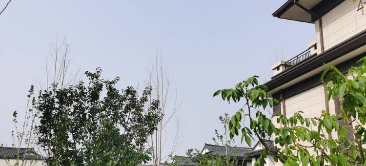 孔雀城森屿海民宿(滨海新大道分店)图片