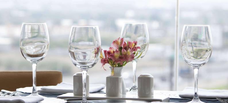 HS 霍特森锡劳酒店(HS Hotsson Hotel Silao)图片