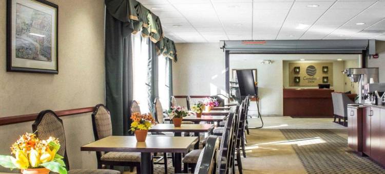 Comfort Inn Green Valley, Arizona图片