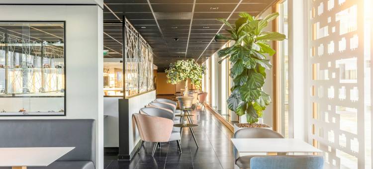 乌特勒支帕蓬多普智选假日酒店(Holiday Inn Express UTRECHT - PAPENDORP by IHG)图片