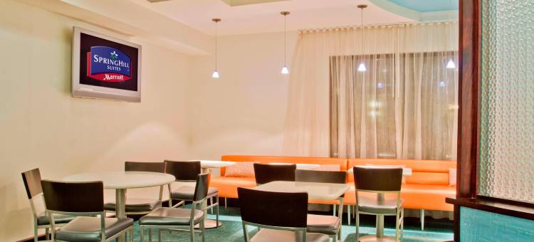 夏洛特机场万豪SpringHill Suites 酒店(SpringHill Suites Charlotte Airport)图片