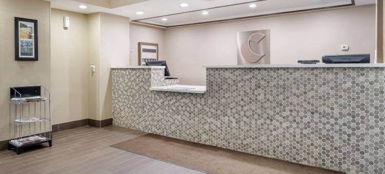 舒适酒店及套房(Comfort Inn & Suites)图片