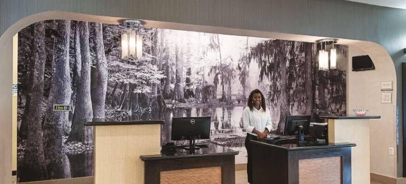 侯马拉昆塔温德姆套房酒店(La Quinta Inn & Suites by Wyndham Houma)图片