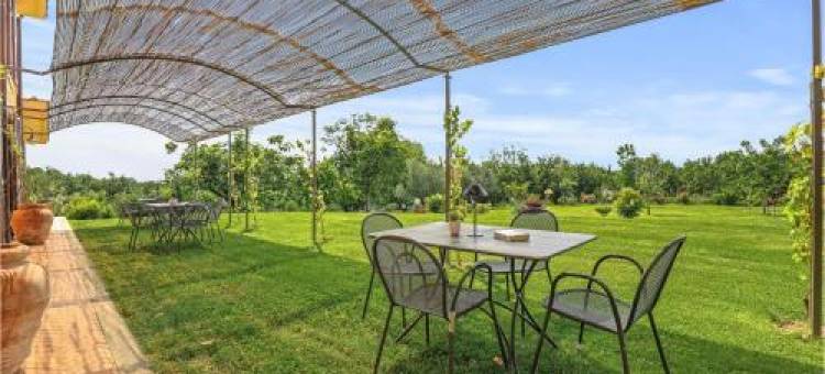 诺斯酒店(Gorgeous Apartment in Capranica Vt)图片