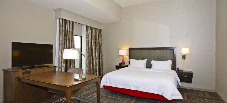 希尔顿欢朋酒店-普拉斯基(Hampton Inn Pulaski)图片