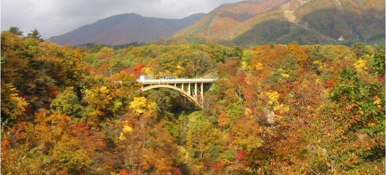 鸣子温泉乡 东多贺之汤(Higashigata No Yu)图片