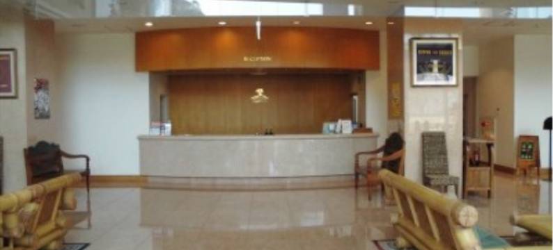 日南季节酒店(KOSCOINN集团)(Hotel Seasons Nichinan)图片