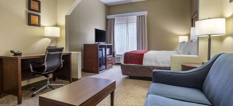 莫克斯维尔 I-40 舒适套房酒店(Comfort Inn & Suites Mocksville I-40)图片