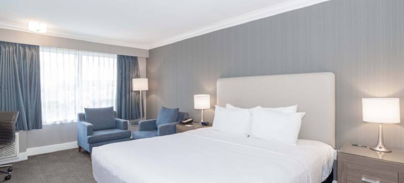 兰里三德曼酒店(Sandman Hotel Langley)图片