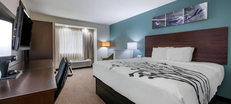 杰克逊维尔机场舒眠酒店(Sleep Inn Jacksonville Airport)图片