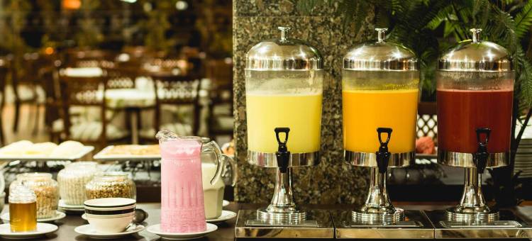 伊瓜苏夫兹酒店(Hotel Foz do Iguaçu)图片