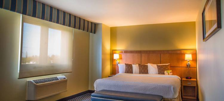 阿瓜狄利亚万怡酒店(Courtyard Aguadilla)图片