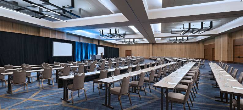 拉斯科琳娜威斯汀欧文会议中心(The Westin Irving Convention Center at Las Colinas)图片