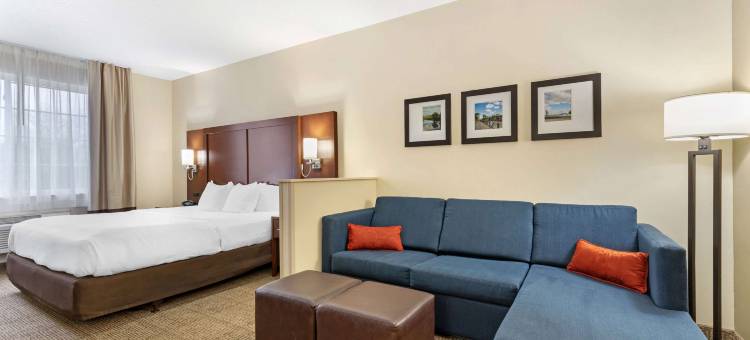 舒适套房酒店(Comfort Suites)图片