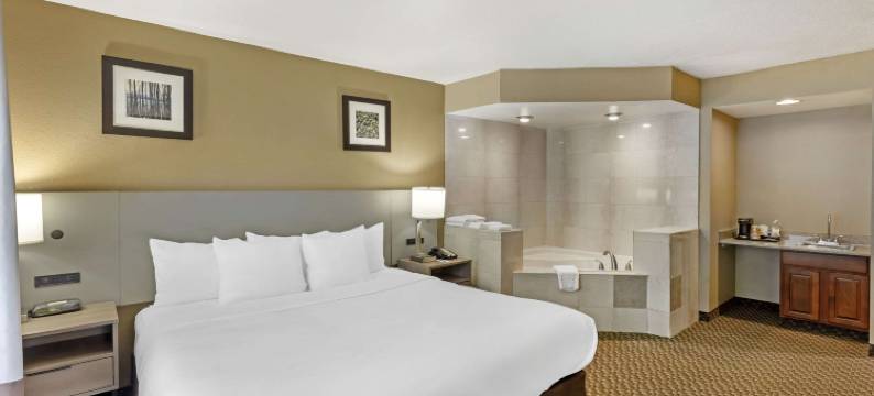 舒适套房酒店(Comfort Inn & Suites Carneys Point)图片